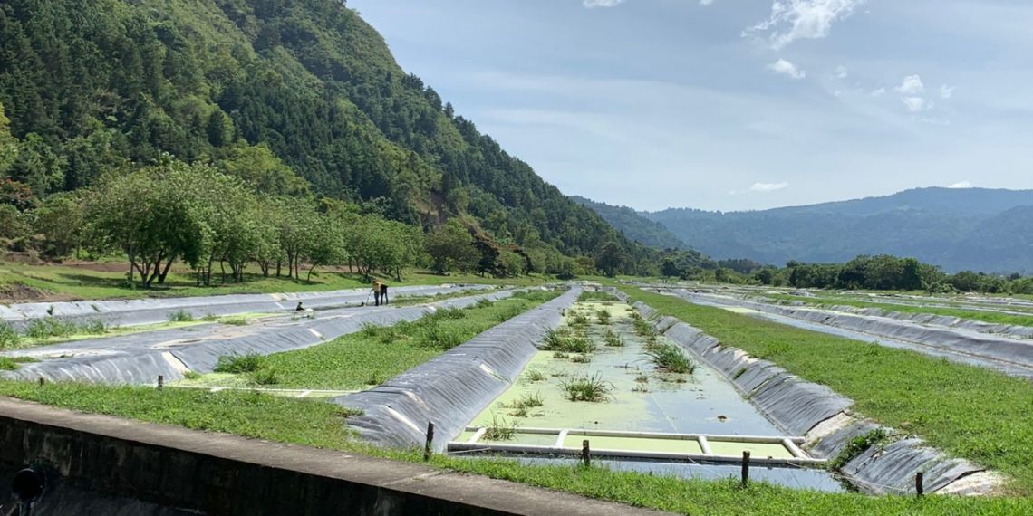 Copresam impulsará el manejo de aguas residuales a nivel departamental